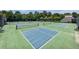 Community pickleball courts, offering an active and social recreation space for residents at 229 Traditions Drive Southeast Dr, Loganville, GA 30052