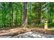 Backyard with a ' playground with slide, swings, and stone patio nestled among mature trees at 605 Linkside Hollow, Alpharetta, GA 30005