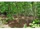 Beautiful wooded lot with lush trees surrounding a two-story home and car parked on the long driveway at 1170 Spring Oak Way, Cumming, GA 30041