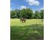 Beautiful horse property with a large pasture, blue skies, and mature trees, creating a serene environment at 2839 Orion Dr, Decatur, GA 30033
