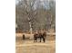 Scenic pasture views with horses grazing in an open field with trees, showcasing the property's natural beauty at 2839 Orion Dr, Decatur, GA 30033