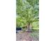 Backyard view showing an established large tree and storage structures at 1035 Cornish Mountain Church Rd, Oxford, GA 30054