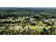 Expansive aerial view of a beautiful neighborhood surrounded by lush greenery and mature trees at 7090 Valley Landing Ct, Cumming, GA 30041