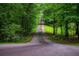 Long driveway leading to a home surrounded by dense, beautiful woods at 8040 Banks Mill Rd, Douglasville, GA 30135