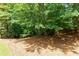 Natural backyard hillside covered in pine straw and greenery at 141 Olde Heritage Way, Woodstock, GA 30188