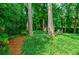 Secluded backyard featuring mature trees, well-maintained lawn, and patio area with outdoor seating at 3027 Vista Brook Dr, Decatur, GA 30033