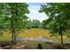 Lake view backyard with seating, framed by trees, offering a serene outdoor setting at 1775 Porterton Way, Cumming, GA 30041