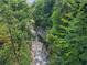 View of the property's creek from above, surrounded by trees and foliage at 1500 Historic Vw, Stone Mountain, GA 30087