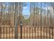 Scenic view through the trees with a mountain vista in the distance at 1500 Historic Vw, Stone Mountain, GA 30087