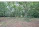 Large backyard featuring mature trees, and providing a serene natural backdrop at 20 Friendship Rd, Euharlee, GA 30145