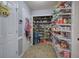 Well-stocked pantry with wire shelving and organized storage for food and household items at 20 Friendship Rd, Euharlee, GA 30145
