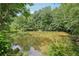 Scenic view of a private pond surrounded by lush greenery and mature trees at 4685 Braselton Hwy, Hoschton, GA 30548