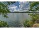 Picturesque lake view framed by lush greenery, offering a tranquil natural setting at 1041 Flat Rock Rd, Covington, GA 30014