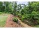 Secluded backyard creek surrounded by lush greenery, adding to the property's tranquility at 1612 Branch Creek Cv, Lawrenceville, GA 30043