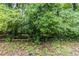 View of the foliage and trees at 10 Mariner Se Way, Acworth, GA 30102