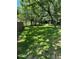 Spacious backyard with lush green grass and mature trees, perfect for outdoor activities at 2588 Abner Nw Pl, Atlanta, GA 30318