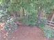Lush, wooded backyard featuring mature trees and natural ground cover at 522 Blue Mountain, Canton, GA 30114
