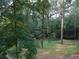A green backyard, surrounded by tall mature trees at 1205 Pebble Bend Dr, Grayson, GA 30017