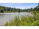 Scenic view of a serene pond surrounded by lush greenery and trees at 4642 Orchid Dr, Pine Lake, GA 30072