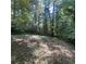 Lush wooded backyard, providing a private and tranquil outdoor space with abundant greenery at 1164 Rogeretta Ne Dr, Atlanta, GA 30329