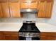 Close up of a stainless steel oven range and wood cabinets at 3884 Grovemont Pl, Duluth, GA 30096