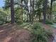 Landscaped property entrance featuring mature trees and lush ground cover at 40 Dunwoody Springs Dr, Atlanta, GA 30328