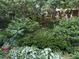 A lush garden bed with a variety of plants, including hostas, ferns, and colorful flowers at 425 Lindbergh Ne Dr # A2, Atlanta, GA 30305