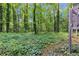 Overgrown backyard showing foliage, grass, and trees at 3442 Winter Wood Trl, Marietta, GA 30062