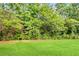 Lush backyard with dense trees at the property's edge and a well-maintained lawn at 273 Baywood Xing, Hiram, GA 30141