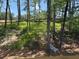 Tranquil backyard with a dense tree line, ensuring privacy and a natural setting at 3402 Milan Ct, Douglasville, GA 30135
