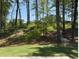 Lush backyard featuring a grassy slope, mature trees, and scenic views at 3402 Milan Ct, Douglasville, GA 30135