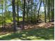 Lush green backyard with mature trees, offering shade and privacy for outdoor enjoyment at 3402 Milan Ct, Douglasville, GA 30135