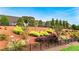 Professionally landscaped backyard with a variety of shrubs, flowers, and a black metal fence at 5640 Hammock Way, Cumming, GA 30028