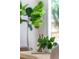 Close-up of modern table decor with indoor plants and natural lighting at 2463 Briarmoor Ne Rd, Atlanta, GA 30345
