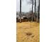 Large fenced-in backyard with mature trees and plenty of room for recreation at 3008 Stockbridge Way, Dacula, GA 30019