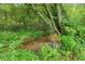 Picturesque creek surrounded by lush greenery at 5095 Karr Road Rd, Cumming, GA 30040