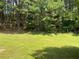 Lush green backyard with mature trees, offering a serene and private outdoor space at 646 Lakes Cir, Lithonia, GA 30058