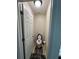 This shows a small toilet room with a toilet and a gray fluffy rug at 6432 Polar Fox Ct, Riverdale, GA 30296