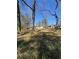 View of the backyard featuring mature trees and partial home views at 2103 River Rd, Ellenwood, GA 30294
