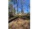 Large backyard featuring mature trees and potential for outdoor activities at 2103 River Rd, Ellenwood, GA 30294