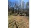 Expansive backyard with mature trees, offering ample space for outdoor activities at 2103 River Rd, Ellenwood, GA 30294