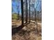 Landscaped yard with mature trees, offering shade and privacy at 2103 River Rd, Ellenwood, GA 30294