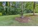 Spacious backyard with lush green grass and a charming tree swing, perfect for Gathering fun at 2010 Barnes Mill Rd, Marietta, GA 30062