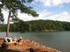 Scenic view of lake and trees with people at picnic tables at 512 Crown Dr, Emerson, GA 30137