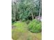 Backyard featuring a partially overgrown lawn with mature trees and a small storage shed at 8130 Estee Dr, Cumming, GA 30028