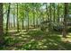 Shaded backyard with mature trees, outbuilding, and azalea bush at 8130 Estee Dr, Cumming, GA 30028