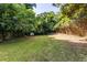 Spacious backyard with lush green lawn, mature trees and bamboo privacy screen at 3205 Mcafee Rd, Decatur, GA 30032