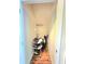 Walk in closet with custom shoe racks and wood floor at 171 Shaker Hollow Drive Dr, Mcdonough, GA 30253