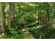 Picturesque creek flowing through a serene wooded area, creating a peaceful natural setting at 1956 Regents Way, Marietta, GA 30062