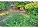 Expansive backyard showcasing a large grassy area with mature trees and a garden bench at 1784 Virginia Grove Ln, Lawrenceville, GA 30045